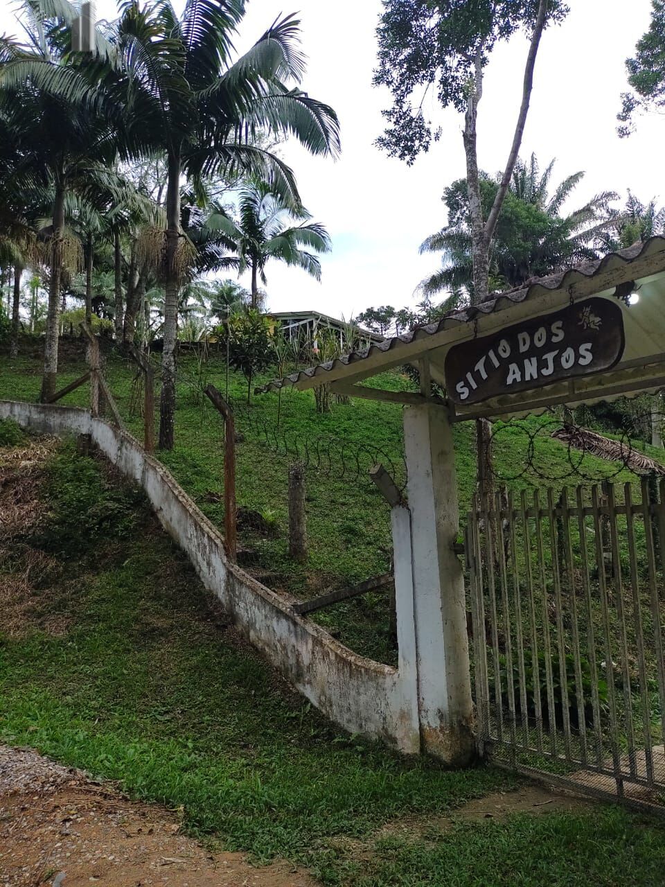 Fazenda à venda com 5 quartos, 121000m² - Foto 14