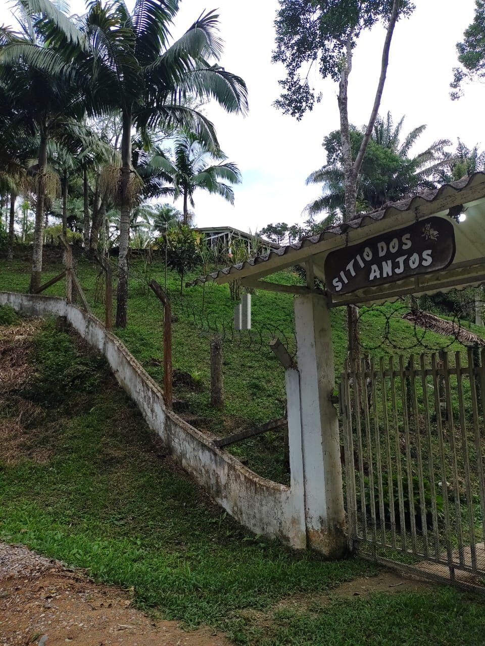 Sítio, 5 quartos, 12 hectares - Foto 14