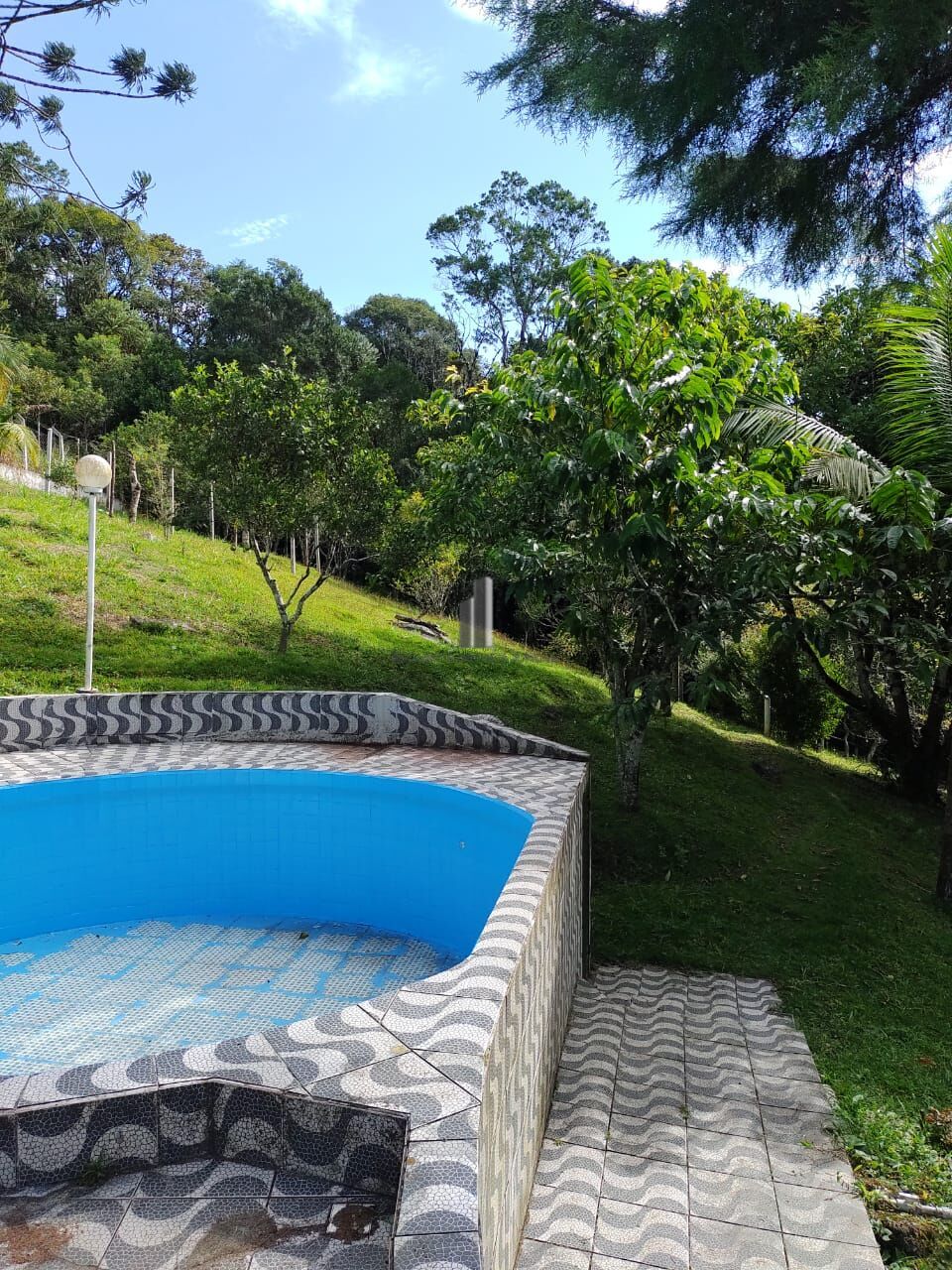 Sítio, 5 quartos, 12 hectares - Foto 11