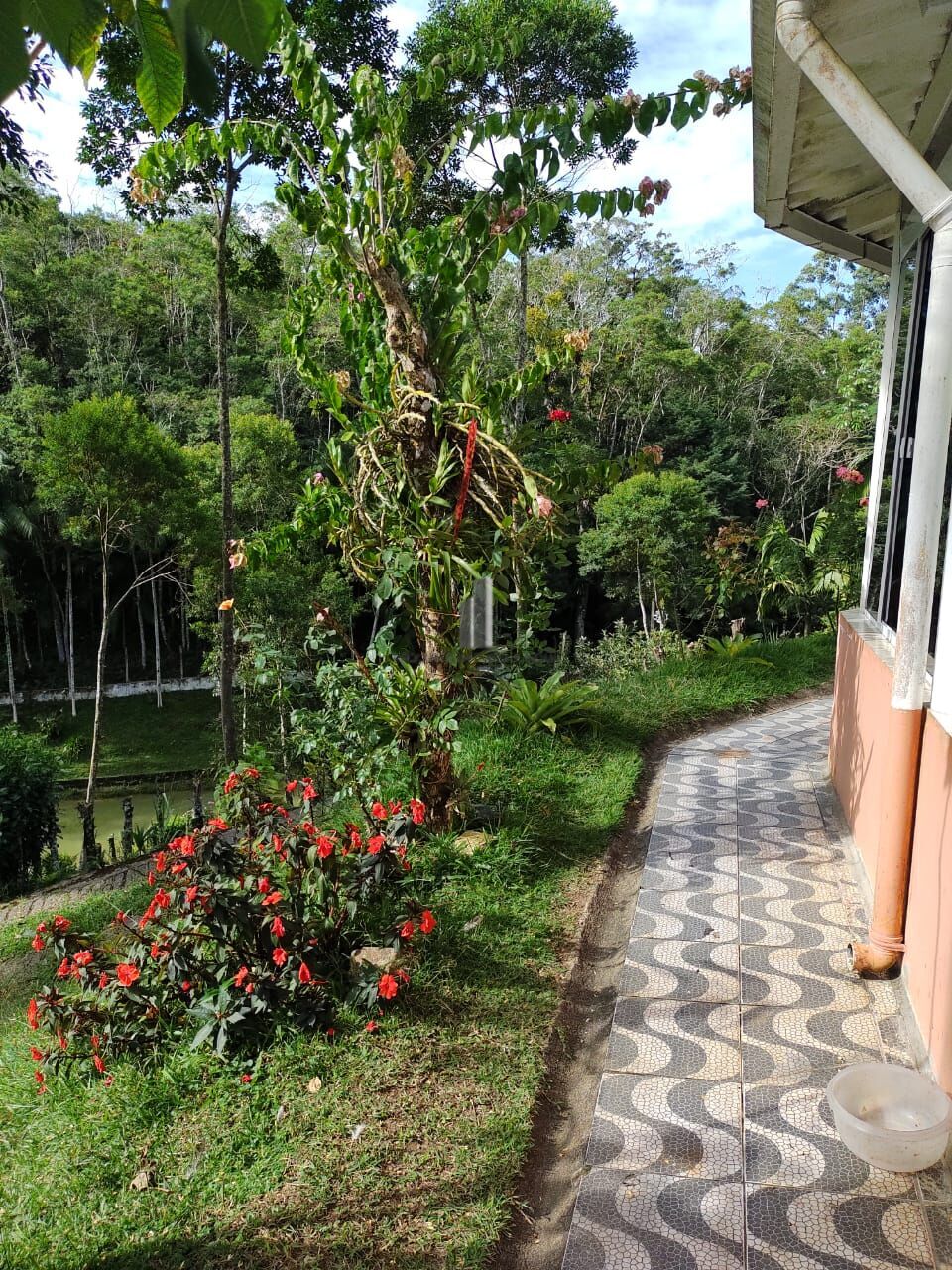 Sítio, 5 quartos, 12 hectares - Foto 16