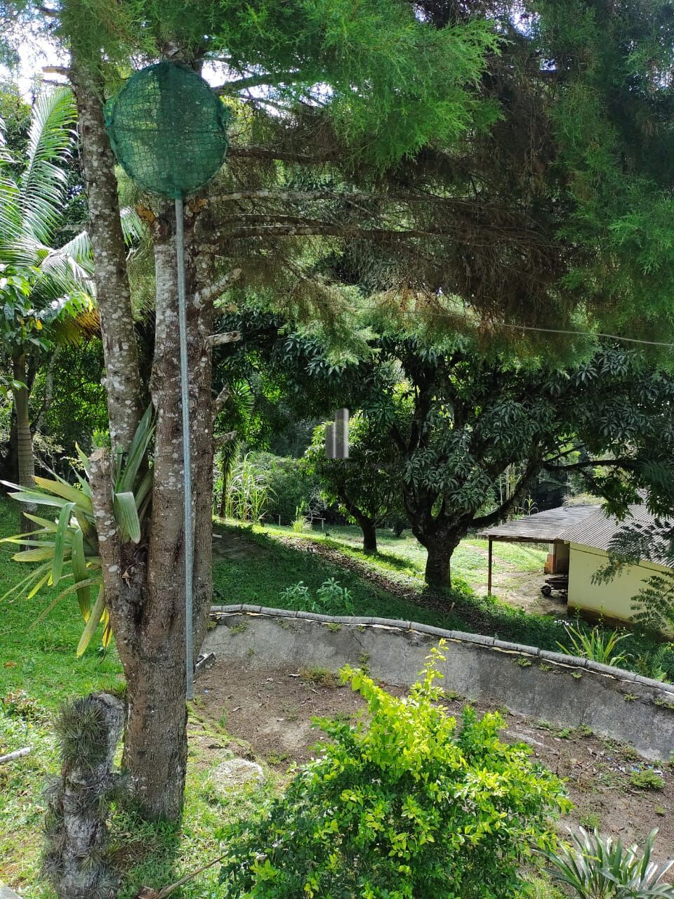 Sítio, 5 quartos, 12 hectares - Foto 7