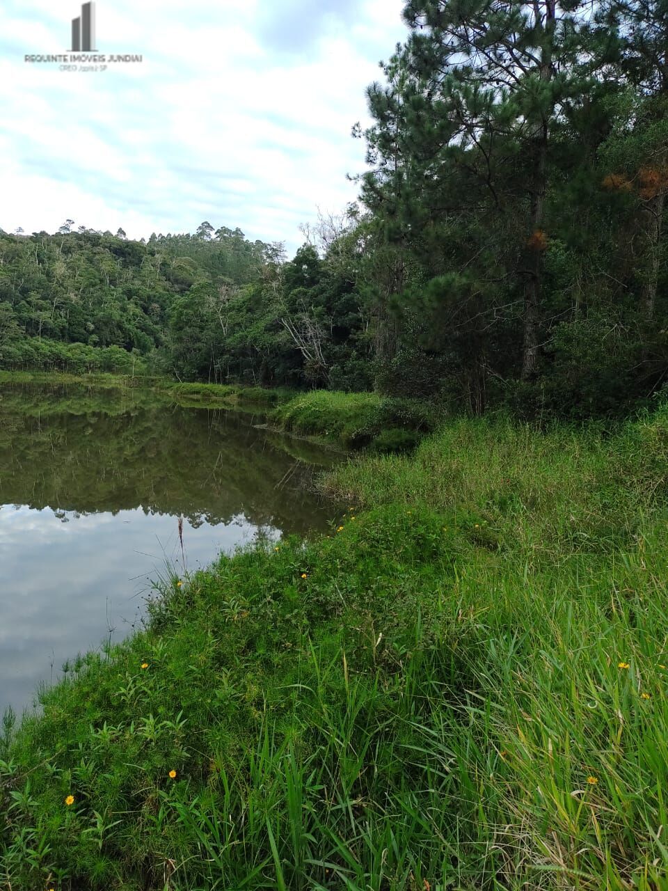 Fazenda à venda com 5 quartos, 121000m² - Foto 15