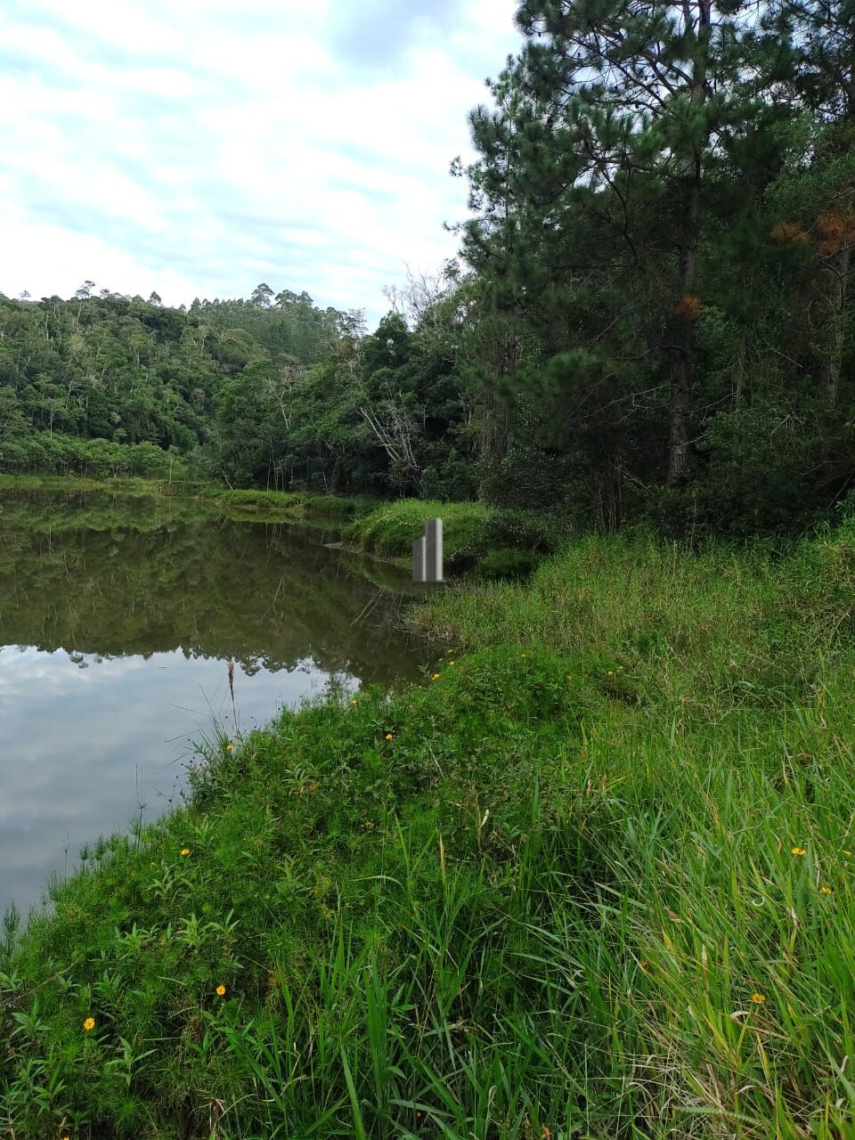 Fazenda à venda com 5 quartos, 121000m² - Foto 15