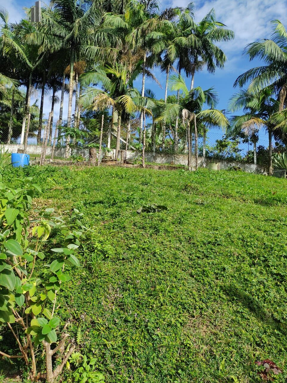 Fazenda à venda com 5 quartos, 121000m² - Foto 8