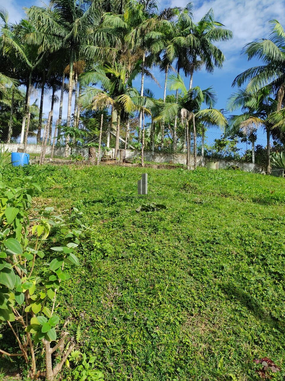 Fazenda à venda com 5 quartos, 121000m² - Foto 8