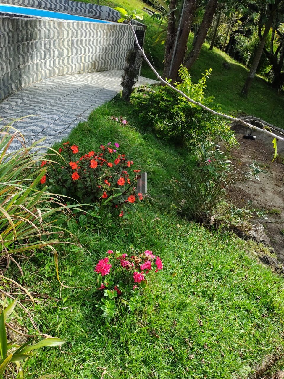 Sítio, 5 quartos, 12 hectares - Foto 20