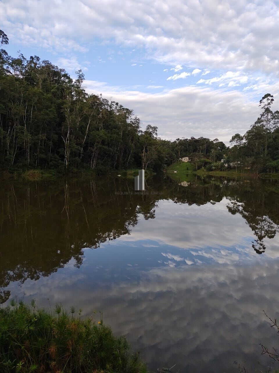 Sítio, 5 quartos, 12 hectares - Foto 4