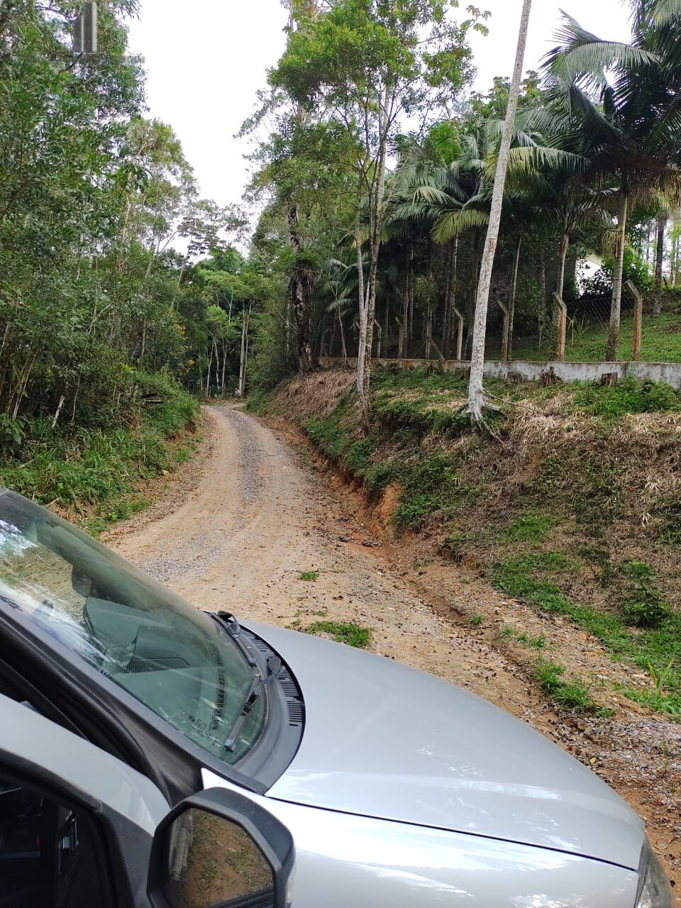 Fazenda à venda com 5 quartos, 121000m² - Foto 22