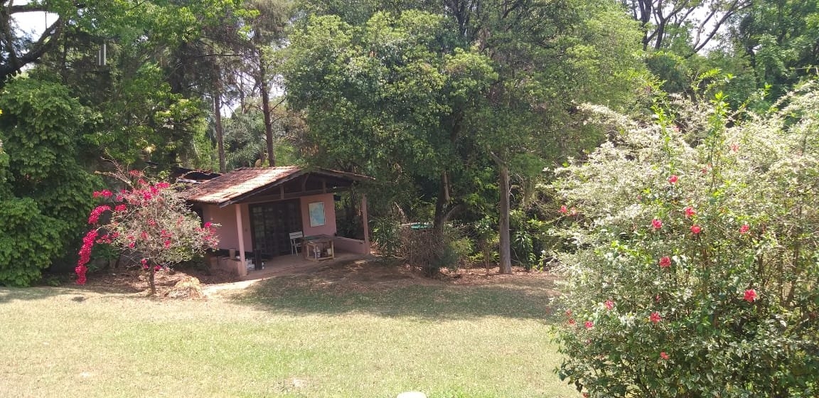 Fazenda à venda com 4 quartos, 650m² - Foto 14