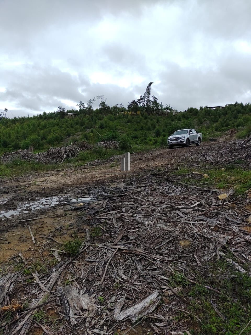 Fazenda à venda com 2 quartos, 338800m² - Foto 18