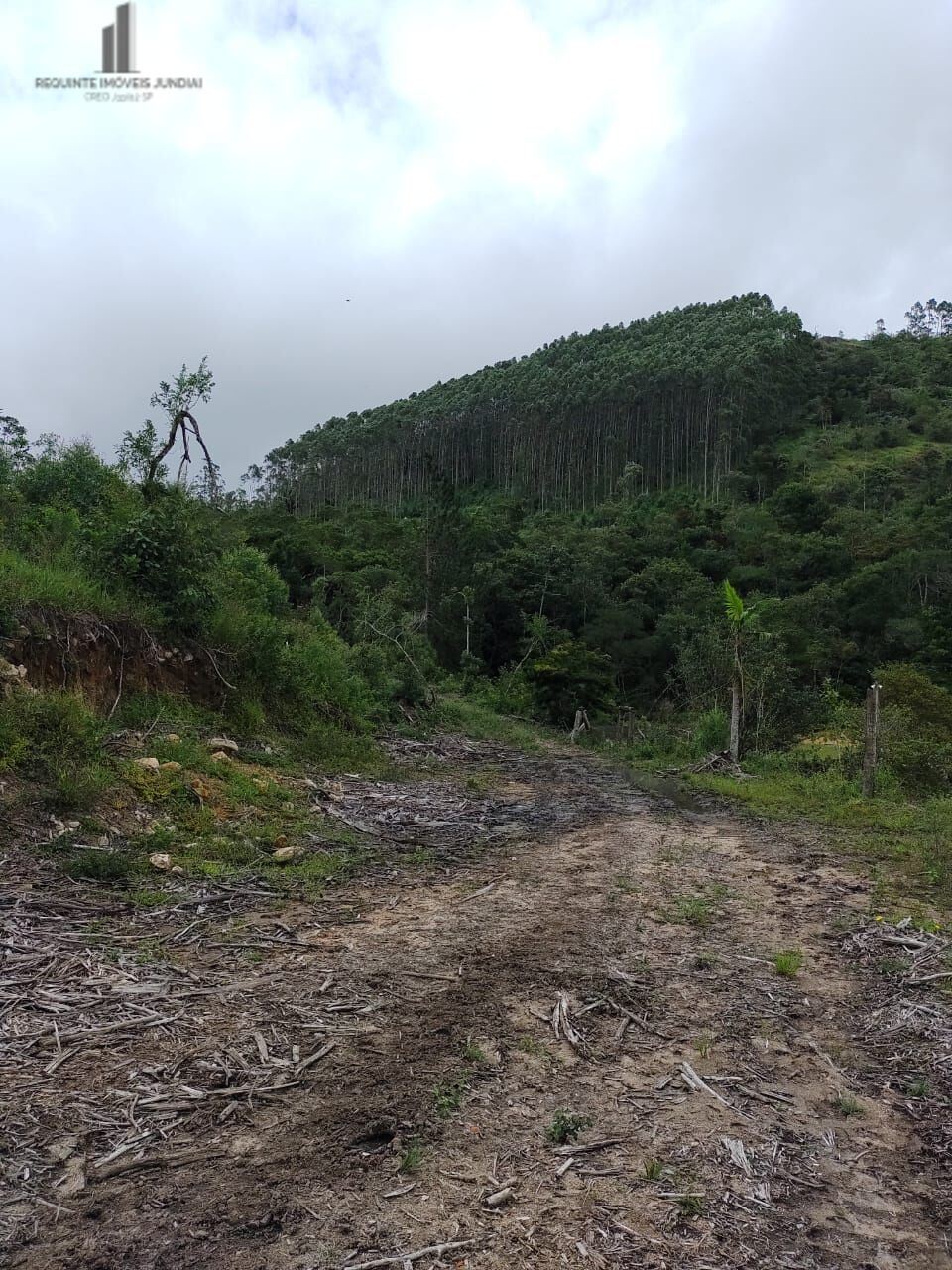 Fazenda à venda com 2 quartos, 338800m² - Foto 19