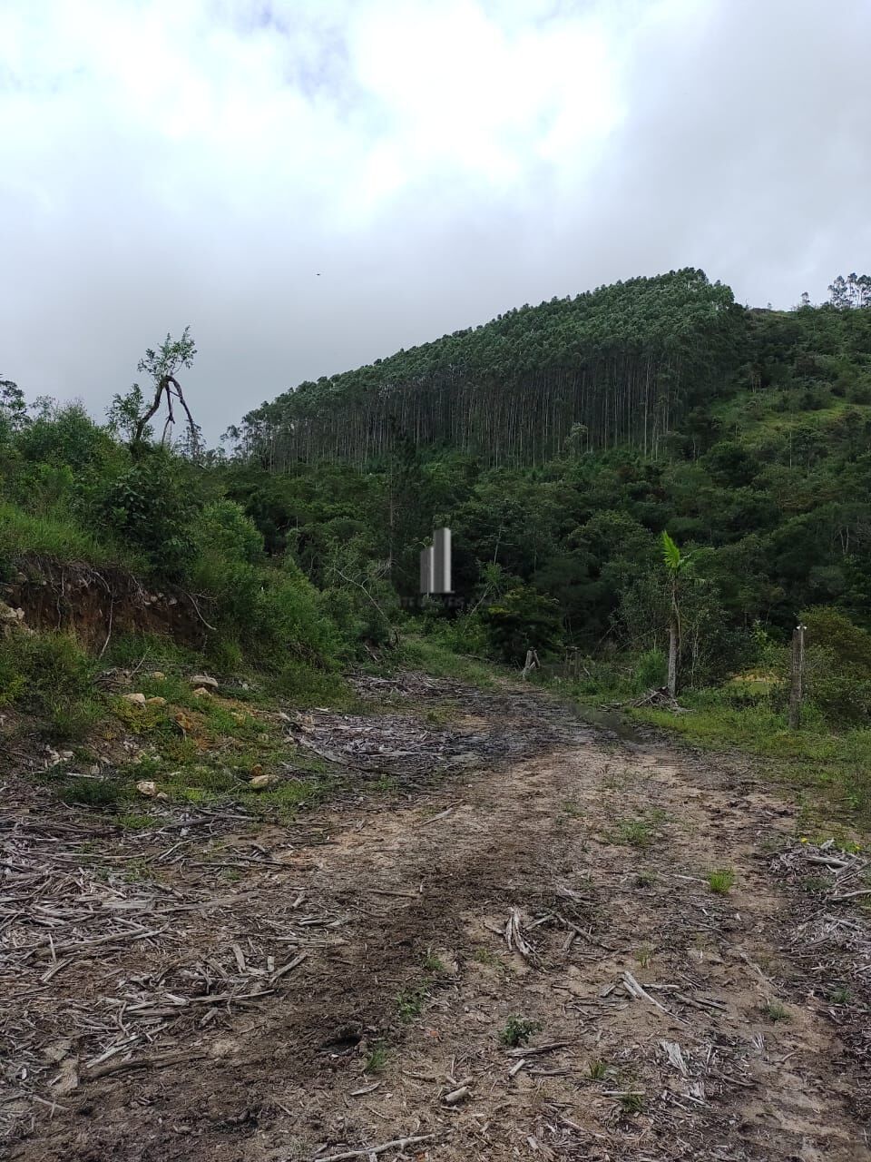 Fazenda à venda com 2 quartos, 338800m² - Foto 19