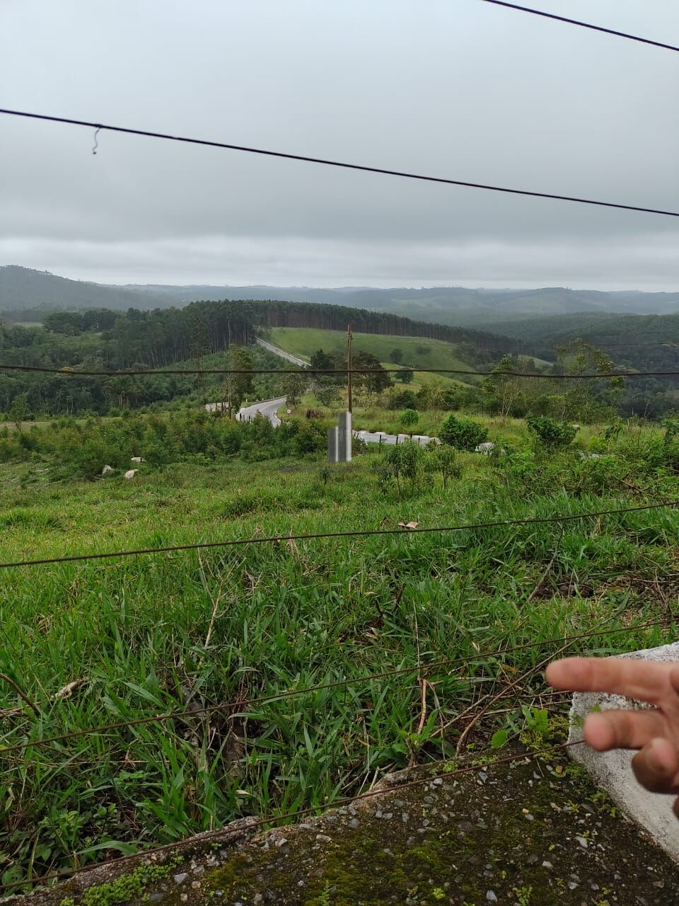 Fazenda à venda com 2 quartos, 338800m² - Foto 22