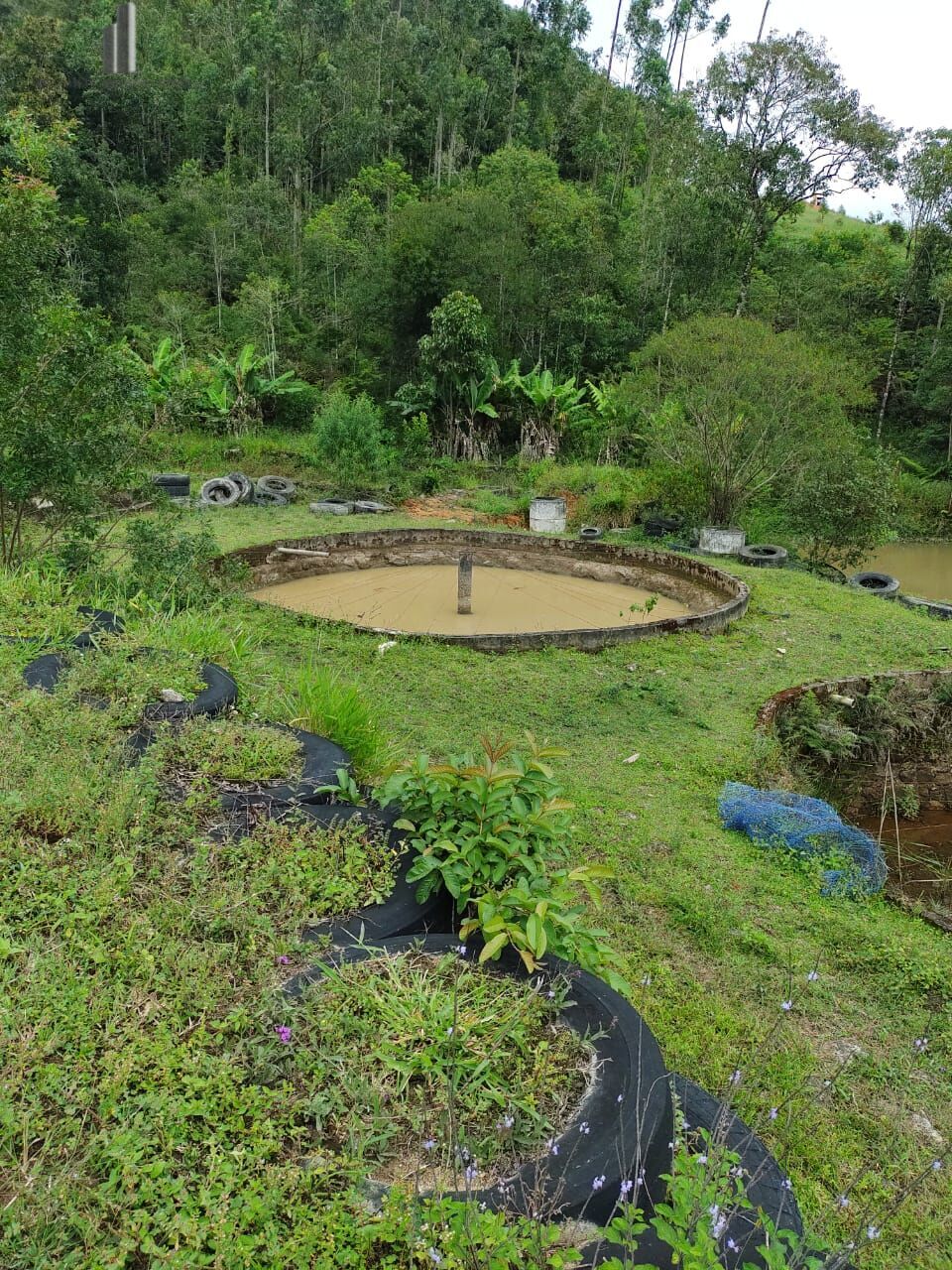 Fazenda à venda com 2 quartos, 338800m² - Foto 6