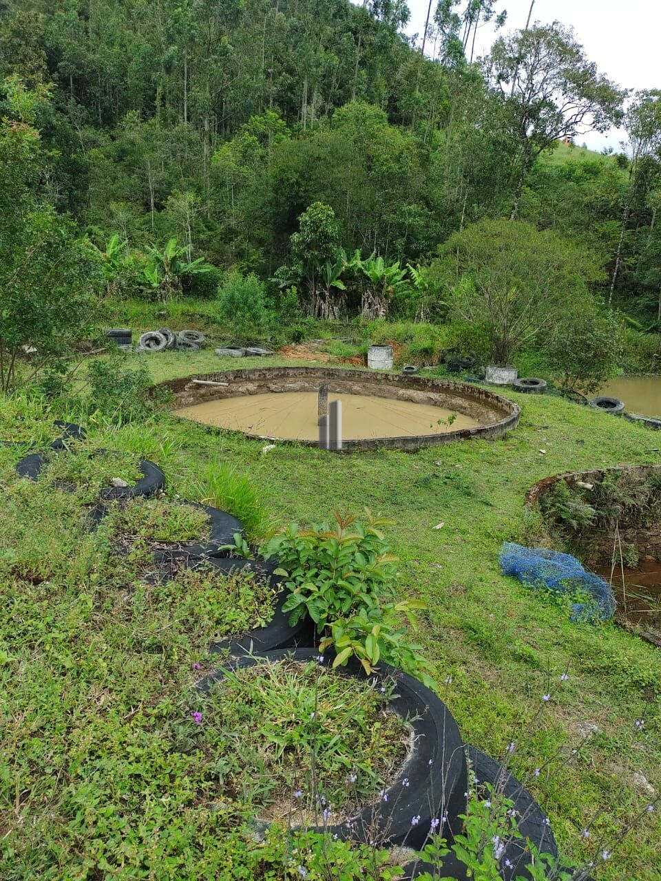 Fazenda à venda com 2 quartos, 338800m² - Foto 6