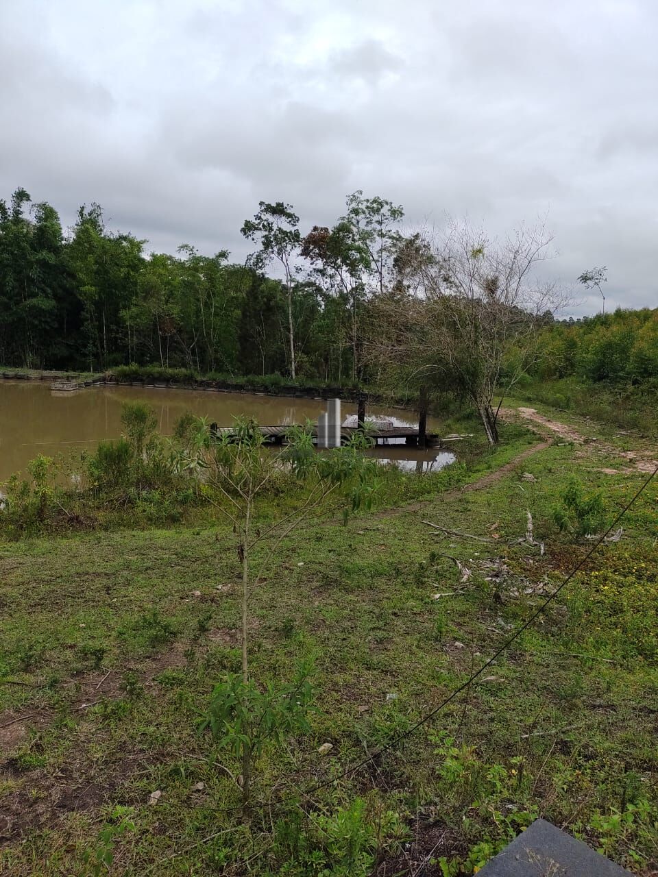 Fazenda à venda com 2 quartos, 338800m² - Foto 3