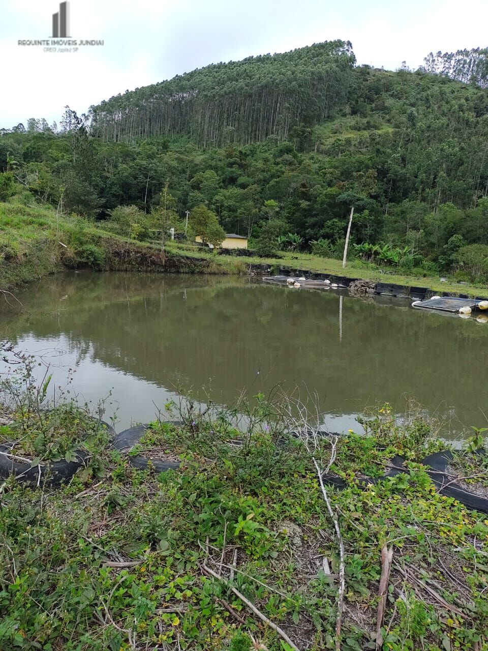 Fazenda à venda com 2 quartos, 338800m² - Foto 5