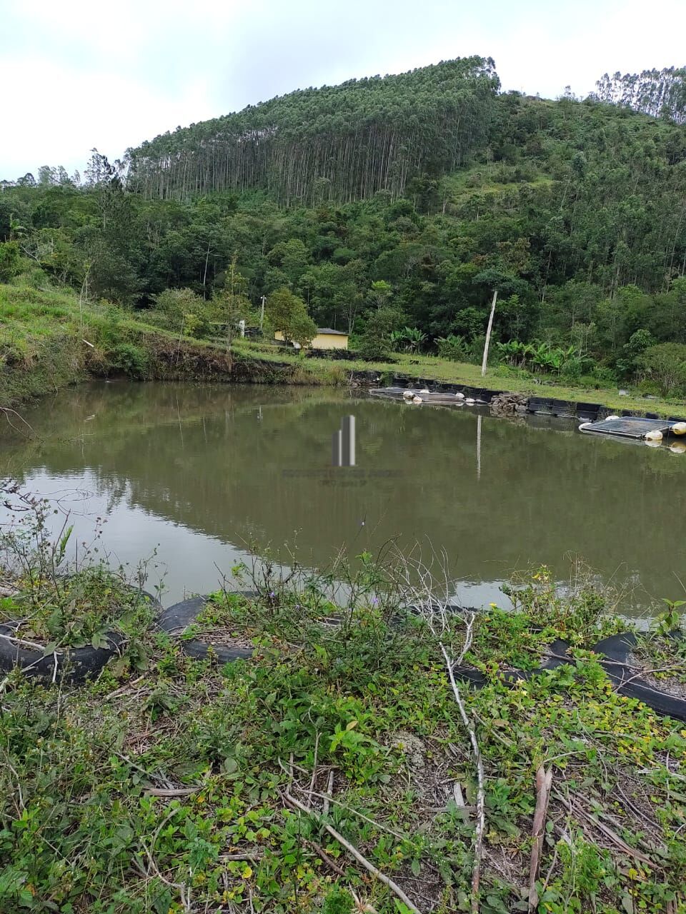 Fazenda à venda com 2 quartos, 338800m² - Foto 5