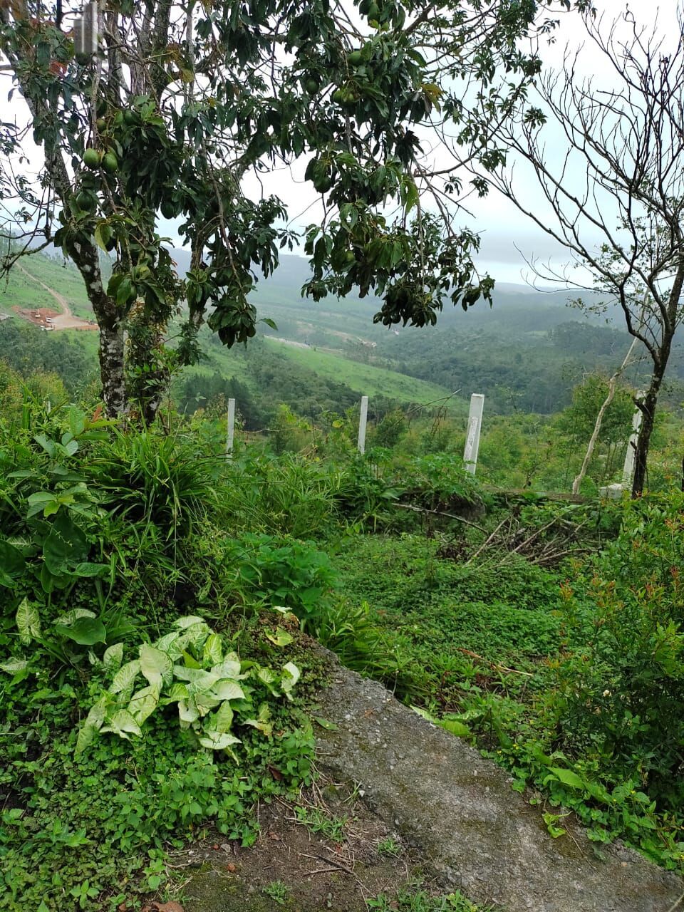 Fazenda à venda com 2 quartos, 338800m² - Foto 24