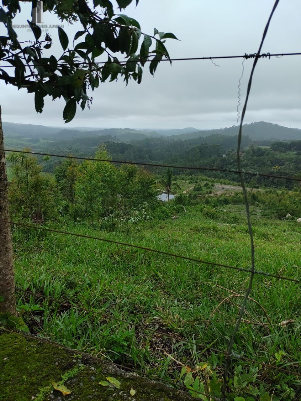 Fazenda à venda com 2 quartos, 338800m² - Foto 7