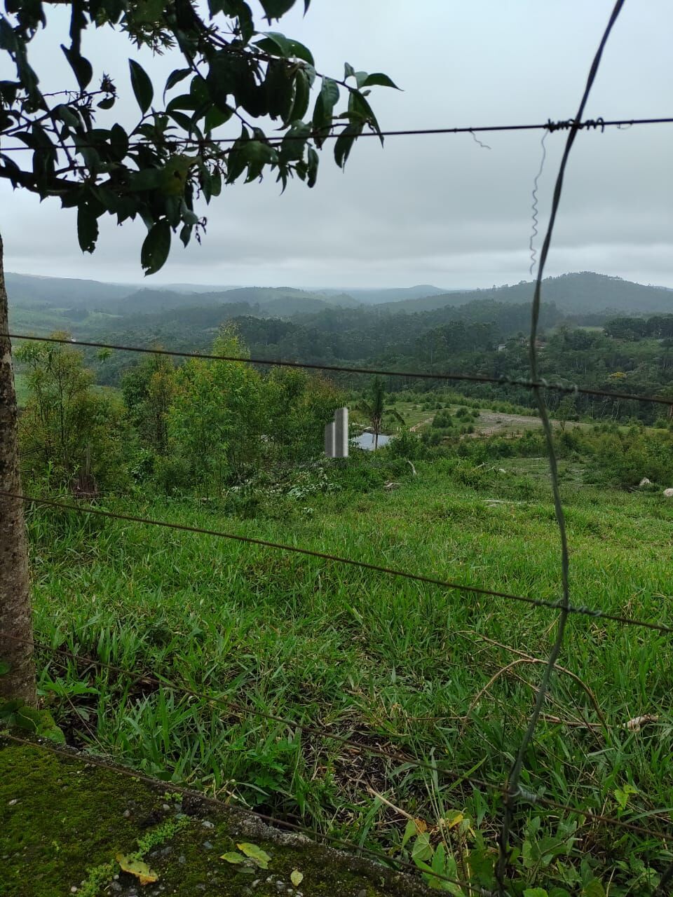 Fazenda à venda com 2 quartos, 338800m² - Foto 7