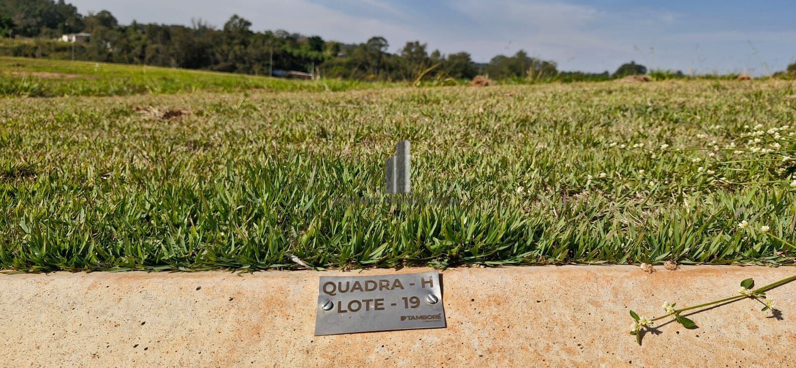 Terreno à venda, 1000m² - Foto 3