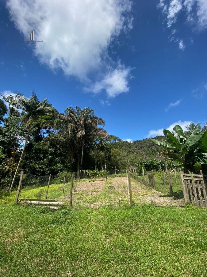 Fazenda à venda com 4 quartos, 30000m² - Foto 19