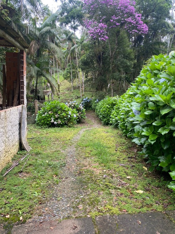 Fazenda à venda com 4 quartos, 30000m² - Foto 7