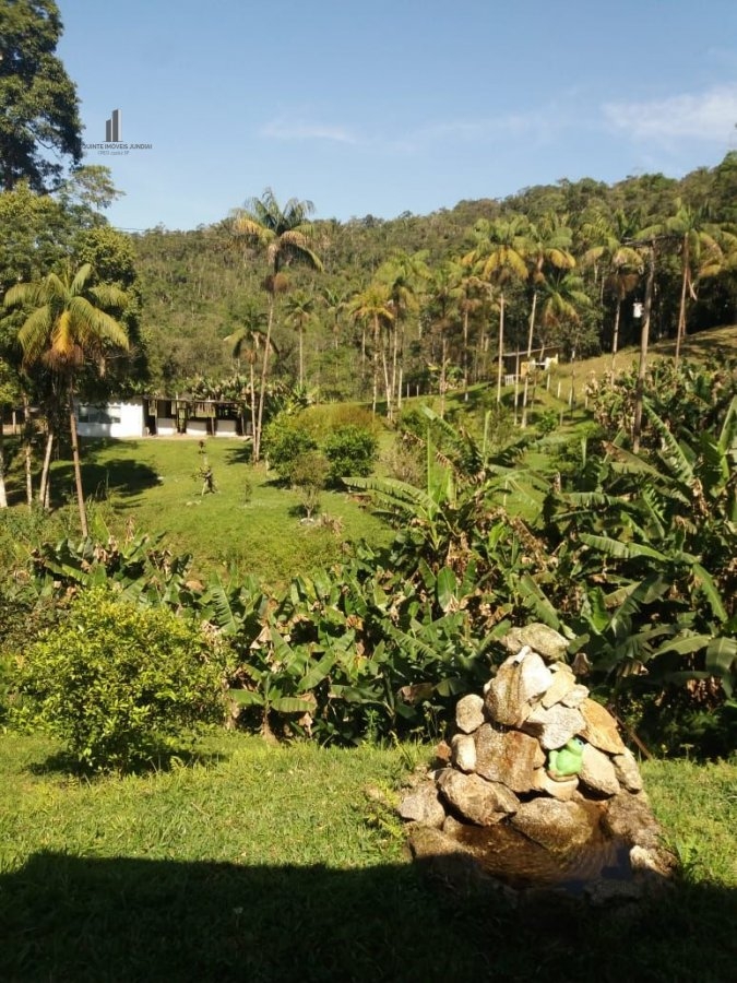 Fazenda à venda com 4 quartos, 30000m² - Foto 4