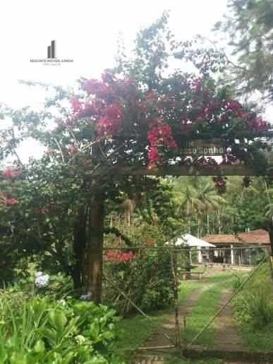 Fazenda à venda com 4 quartos, 30000m² - Foto 9