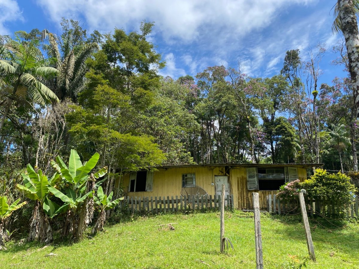 Fazenda à venda com 4 quartos, 30000m² - Foto 10