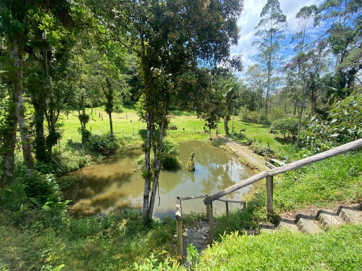 Fazenda à venda com 4 quartos, 30000m² - Foto 11