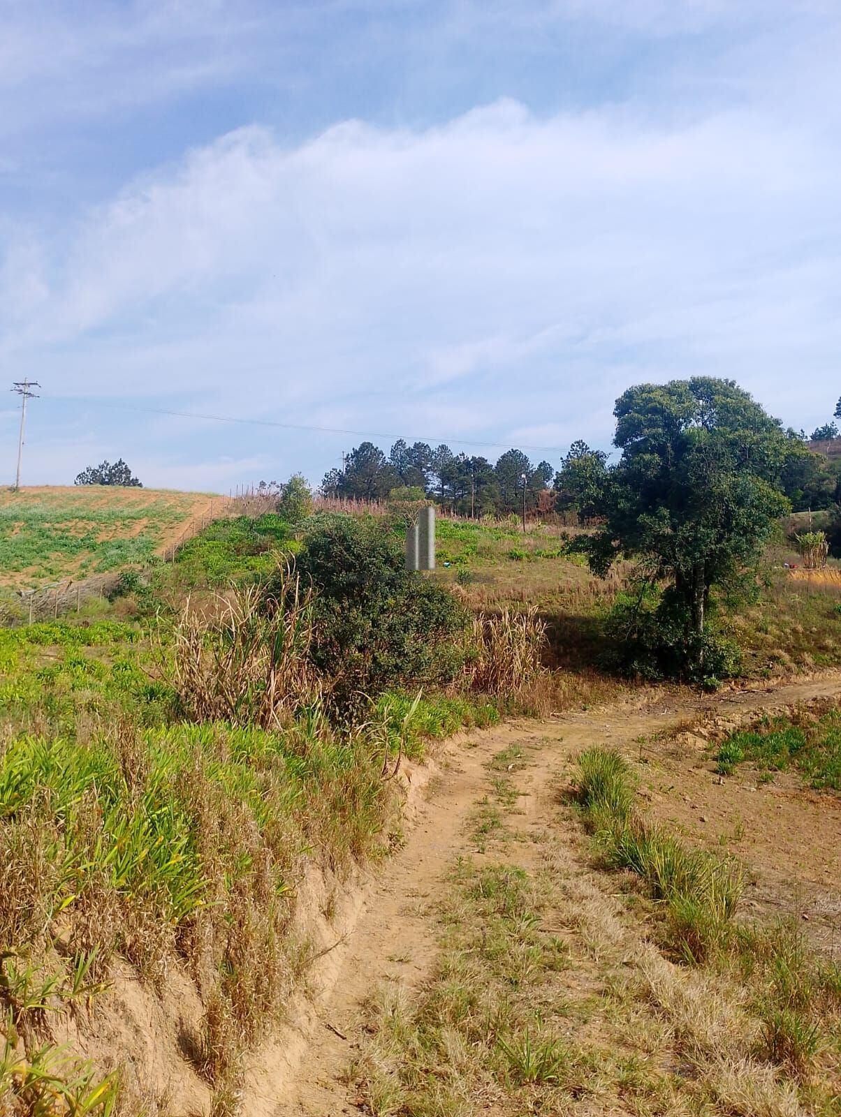 Terreno, 3000 m² - Foto 3