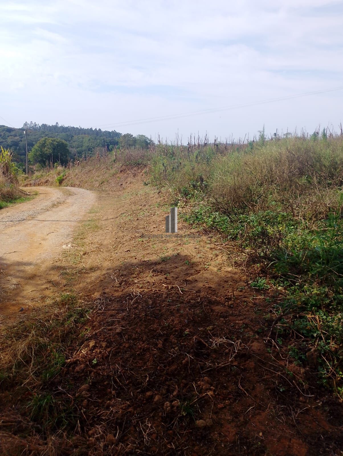 Terreno, 3000 m² - Foto 4