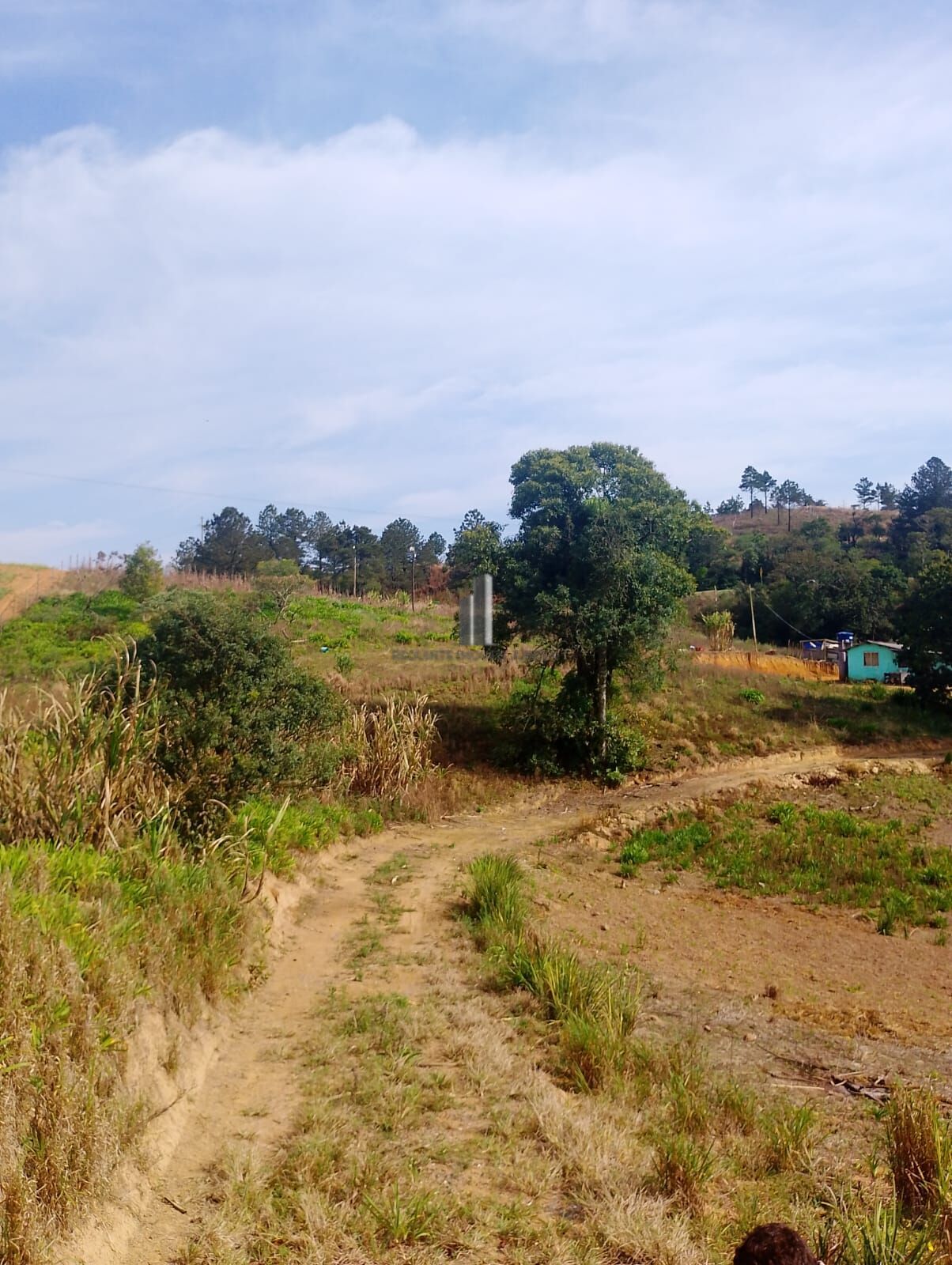 Terreno, 3000 m² - Foto 5