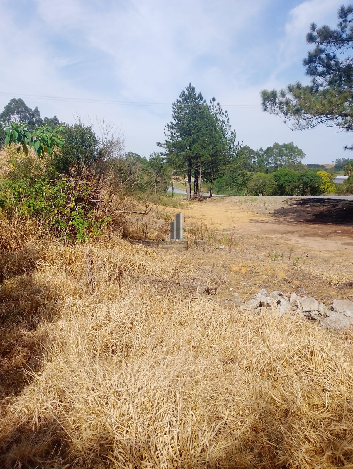 Terreno, 3000 m² - Foto 2