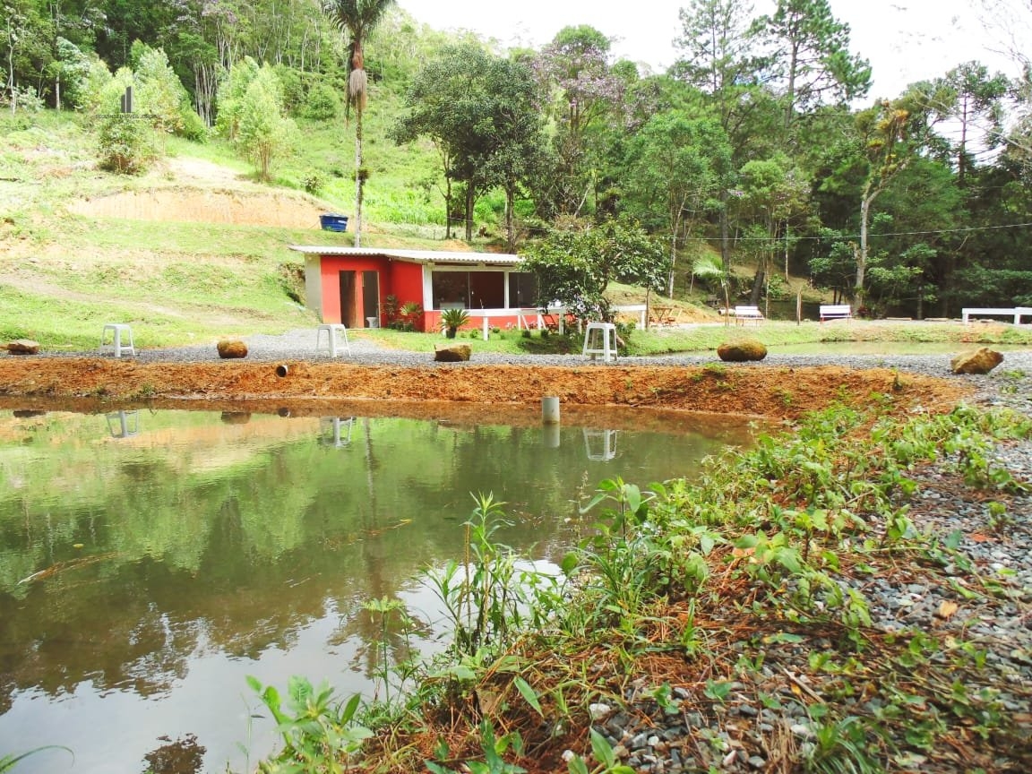 Loja-Salão à venda, 10000m² - Foto 4