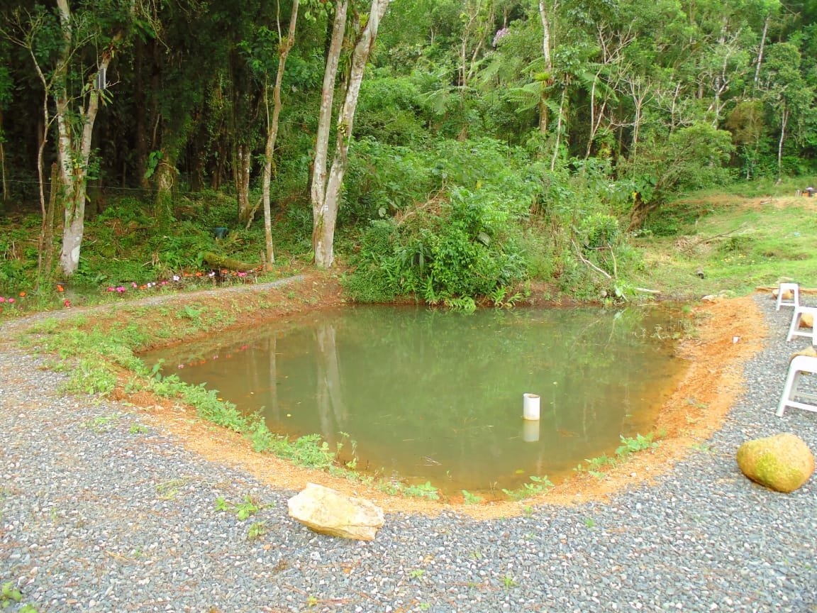 Loja-Salão à venda, 10000m² - Foto 6