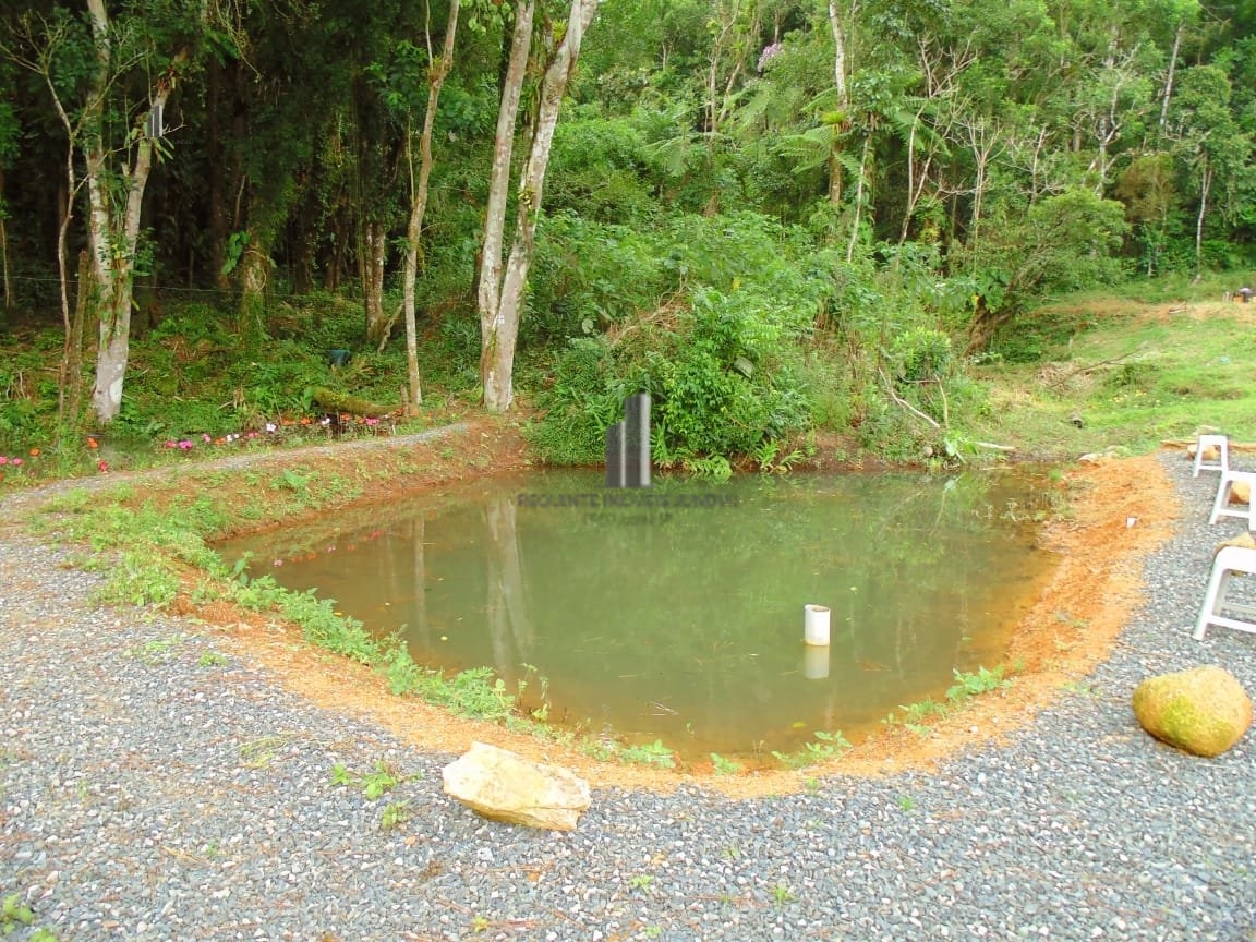 Loja-Salão, 10000 m² - Foto 6