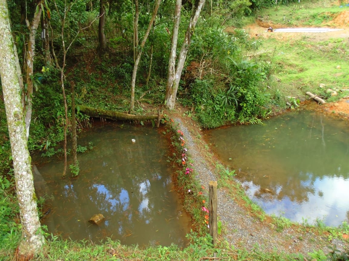 Loja-Salão à venda, 10000m² - Foto 12