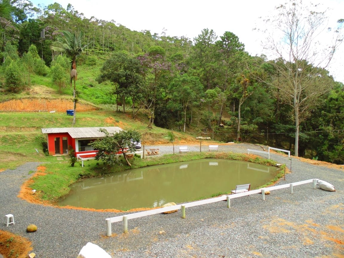 Loja-Salão à venda, 10000m² - Foto 3