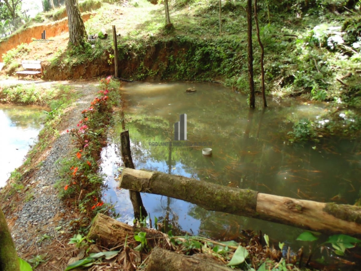 Loja-Salão, 10000 m² - Foto 18