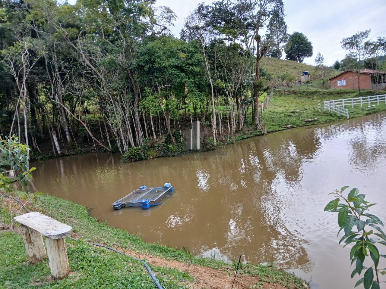 Sítio à venda com 3 quartos, 70000m² - Foto 4