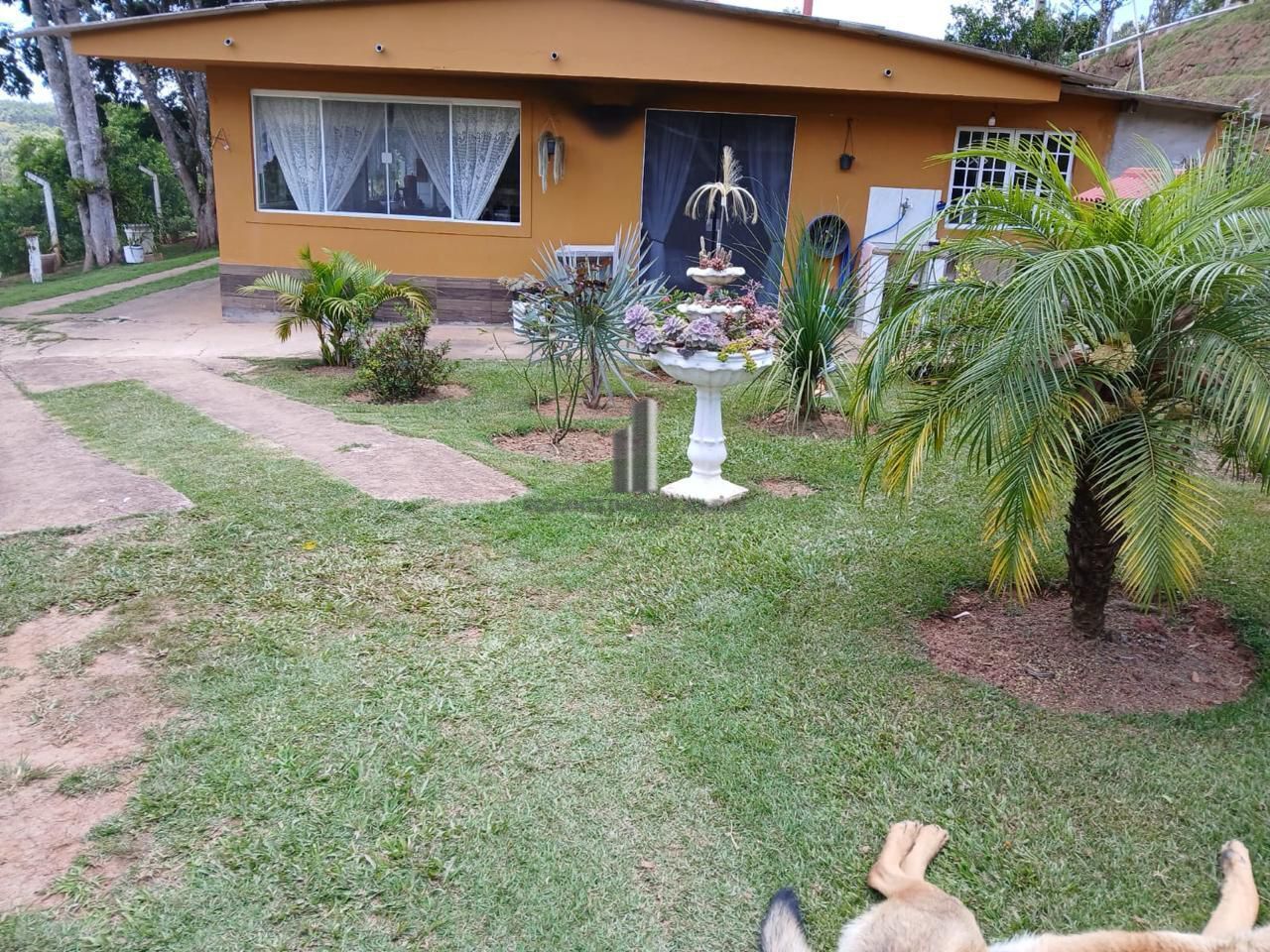 Sítio à venda com 3 quartos, 70000m² - Foto 9
