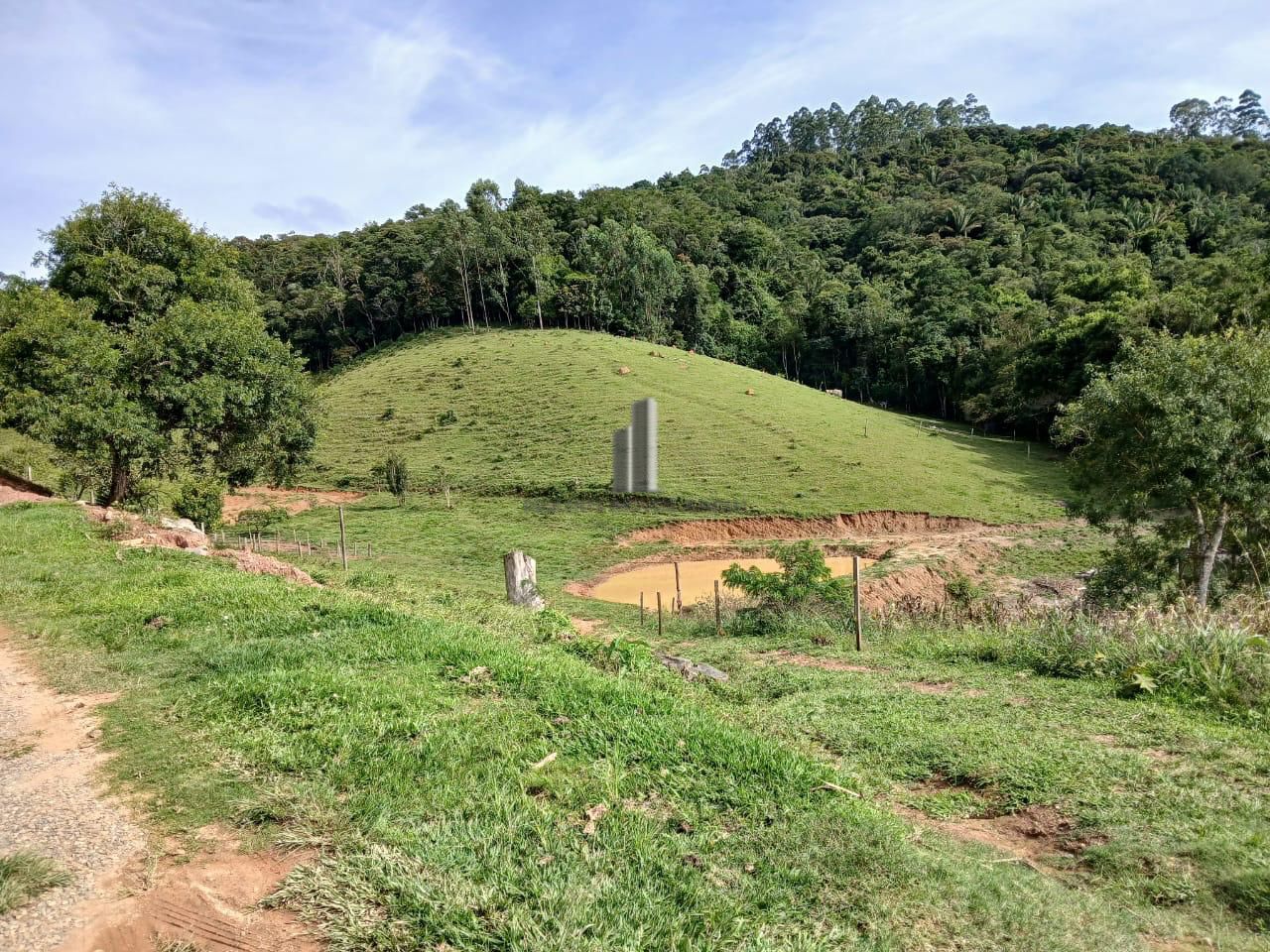 Sítio à venda com 3 quartos, 70000m² - Foto 8