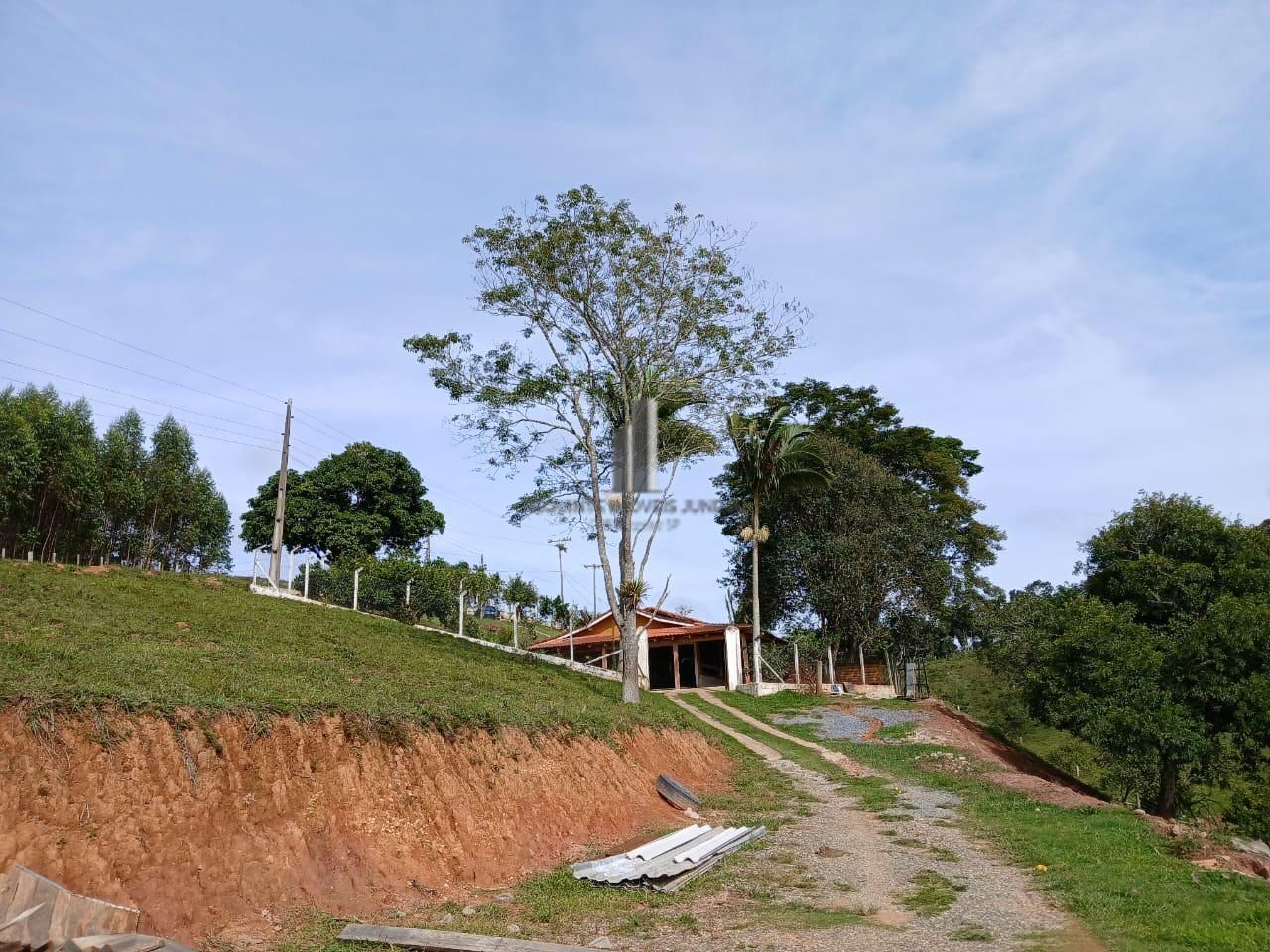 Sítio à venda com 3 quartos, 70000m² - Foto 7