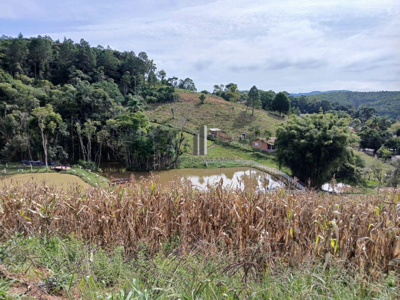 Sítio à venda com 3 quartos, 70000m² - Foto 3