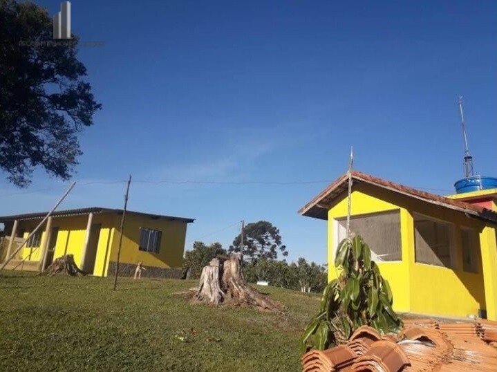 Fazenda à venda com 4 quartos, 55000m² - Foto 7