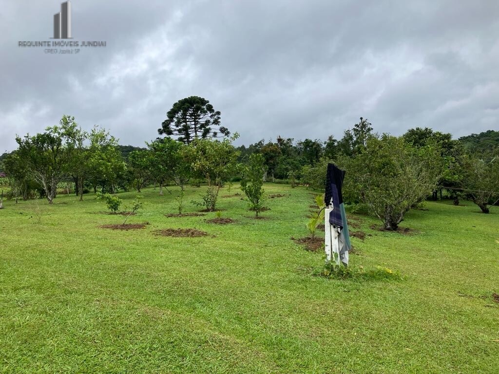 Fazenda à venda com 4 quartos, 55000m² - Foto 8