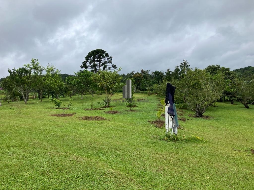 Fazenda à venda com 4 quartos, 55000m² - Foto 8